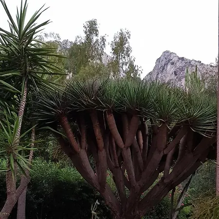 Holiday home Addaura