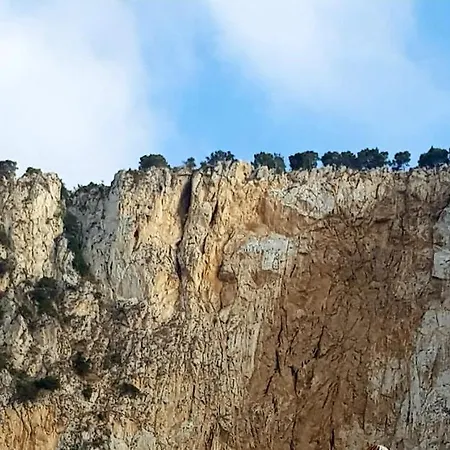 Addaura