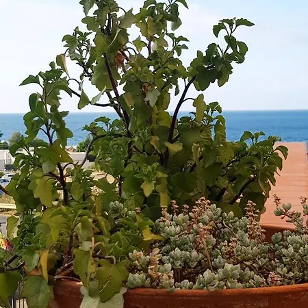 Addaura * Palermo